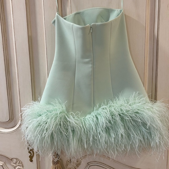 SAFIYAA Rowan strapless feather-trimmed crepe mini dress worn once - Picture 6 of 8